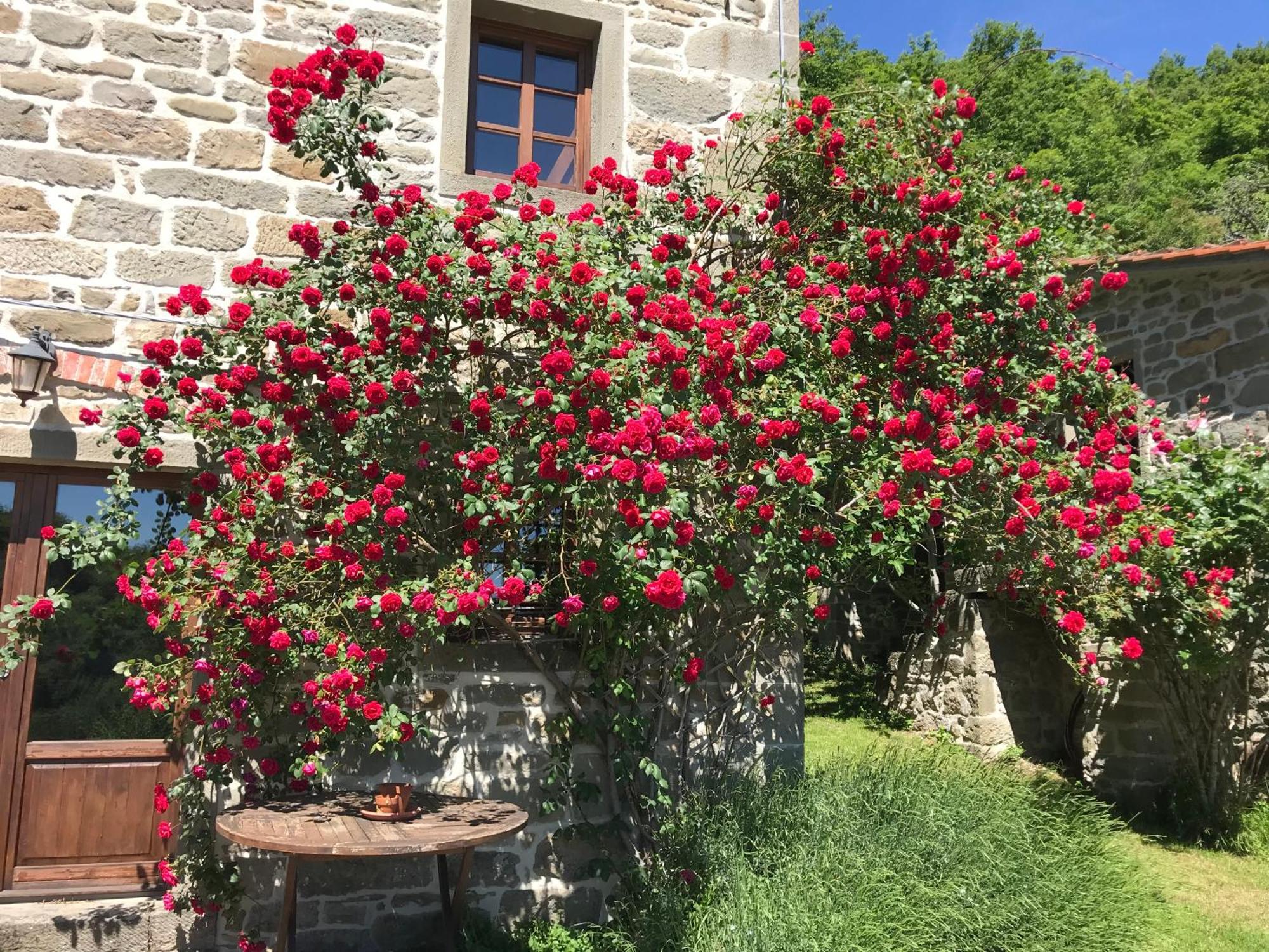 Bio Agriturismo Il Vigno Caprese Michelangelo Экстерьер фото