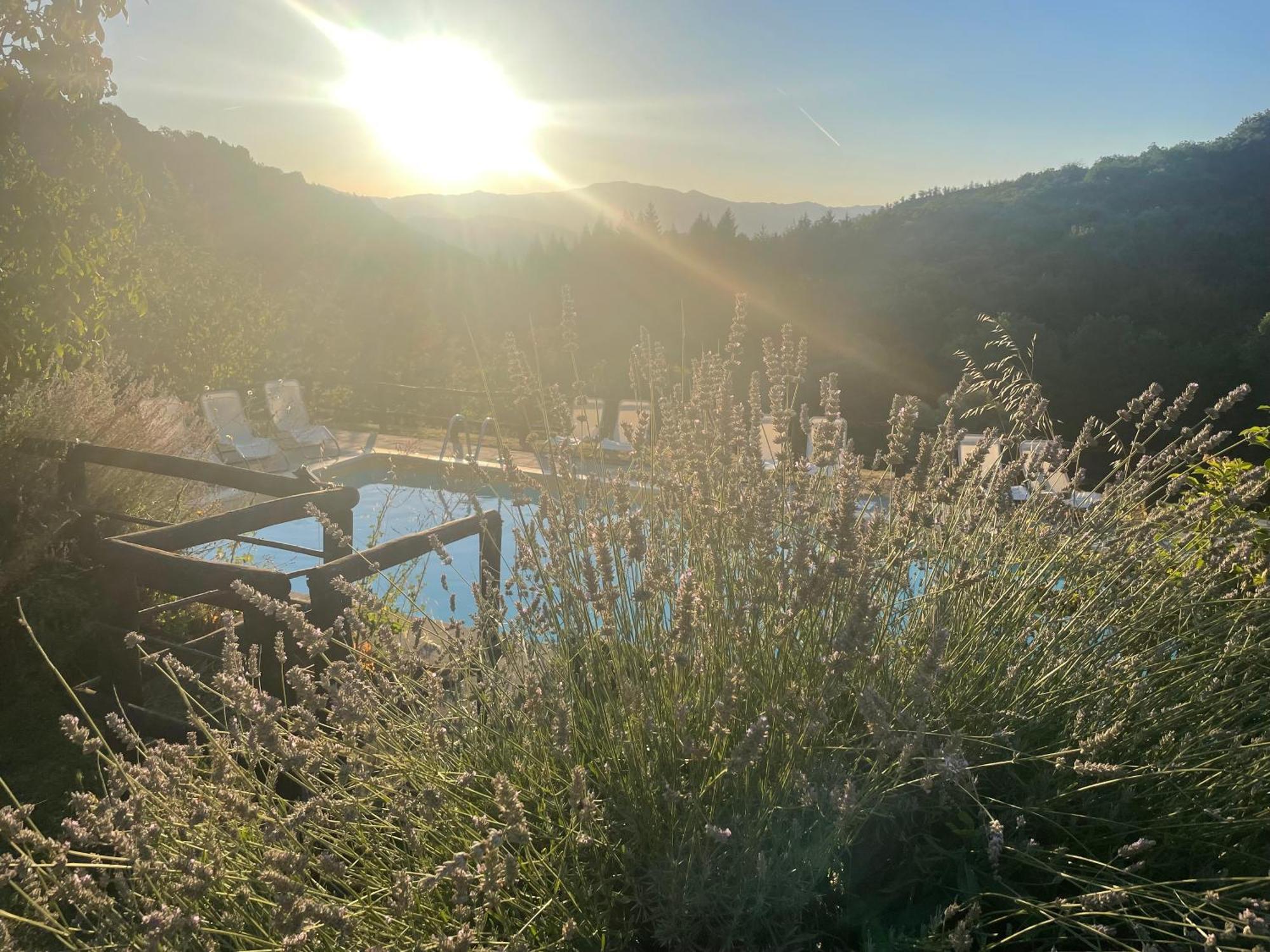 Bio Agriturismo Il Vigno Caprese Michelangelo Экстерьер фото