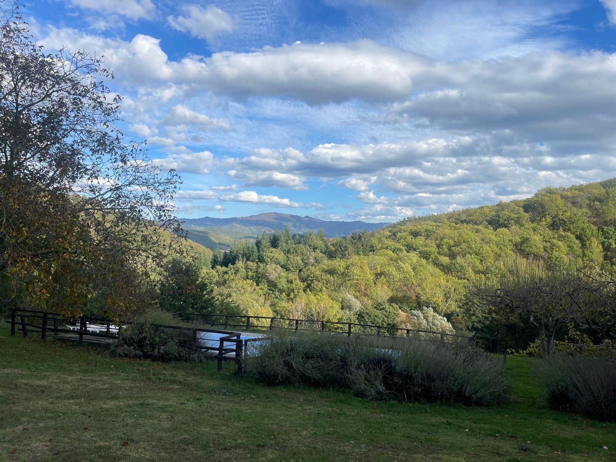 Bio Agriturismo Il Vigno Caprese Michelangelo Экстерьер фото