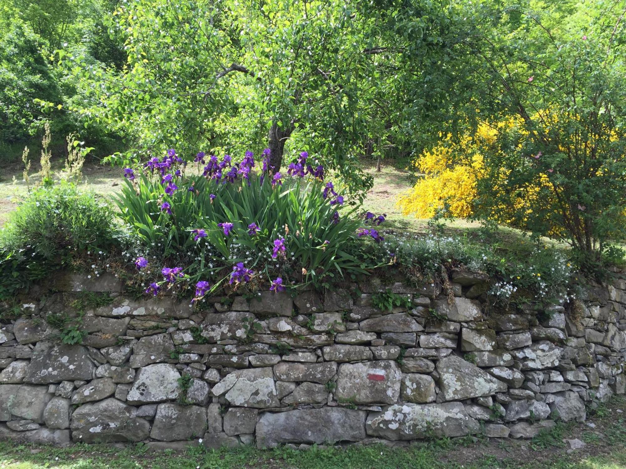 Bio Agriturismo Il Vigno Caprese Michelangelo Экстерьер фото