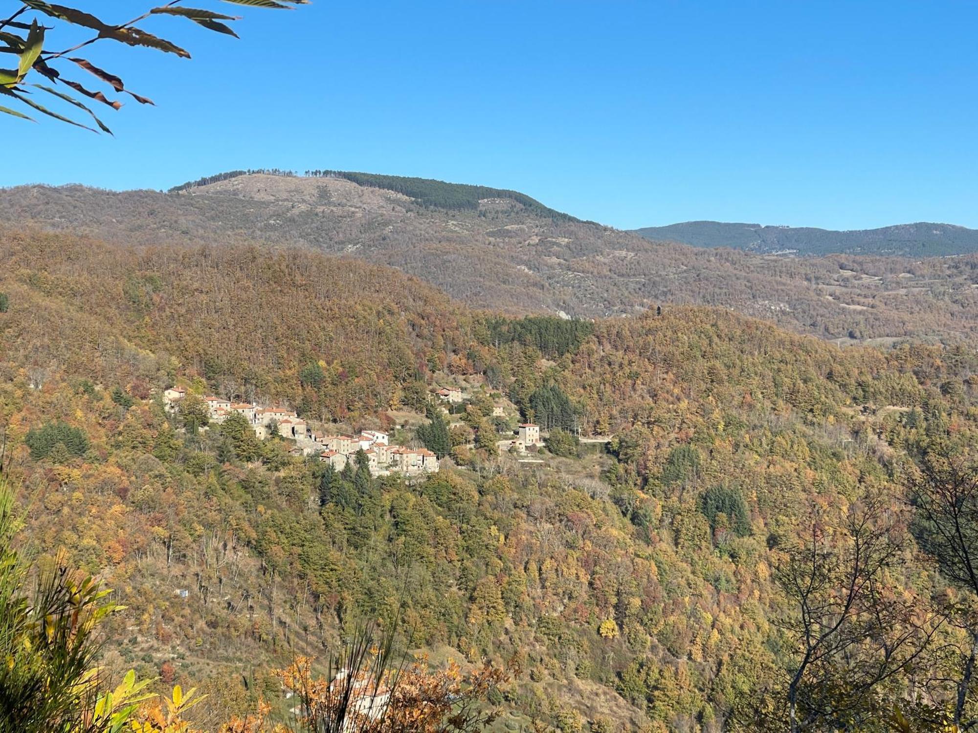 Bio Agriturismo Il Vigno Caprese Michelangelo Экстерьер фото
