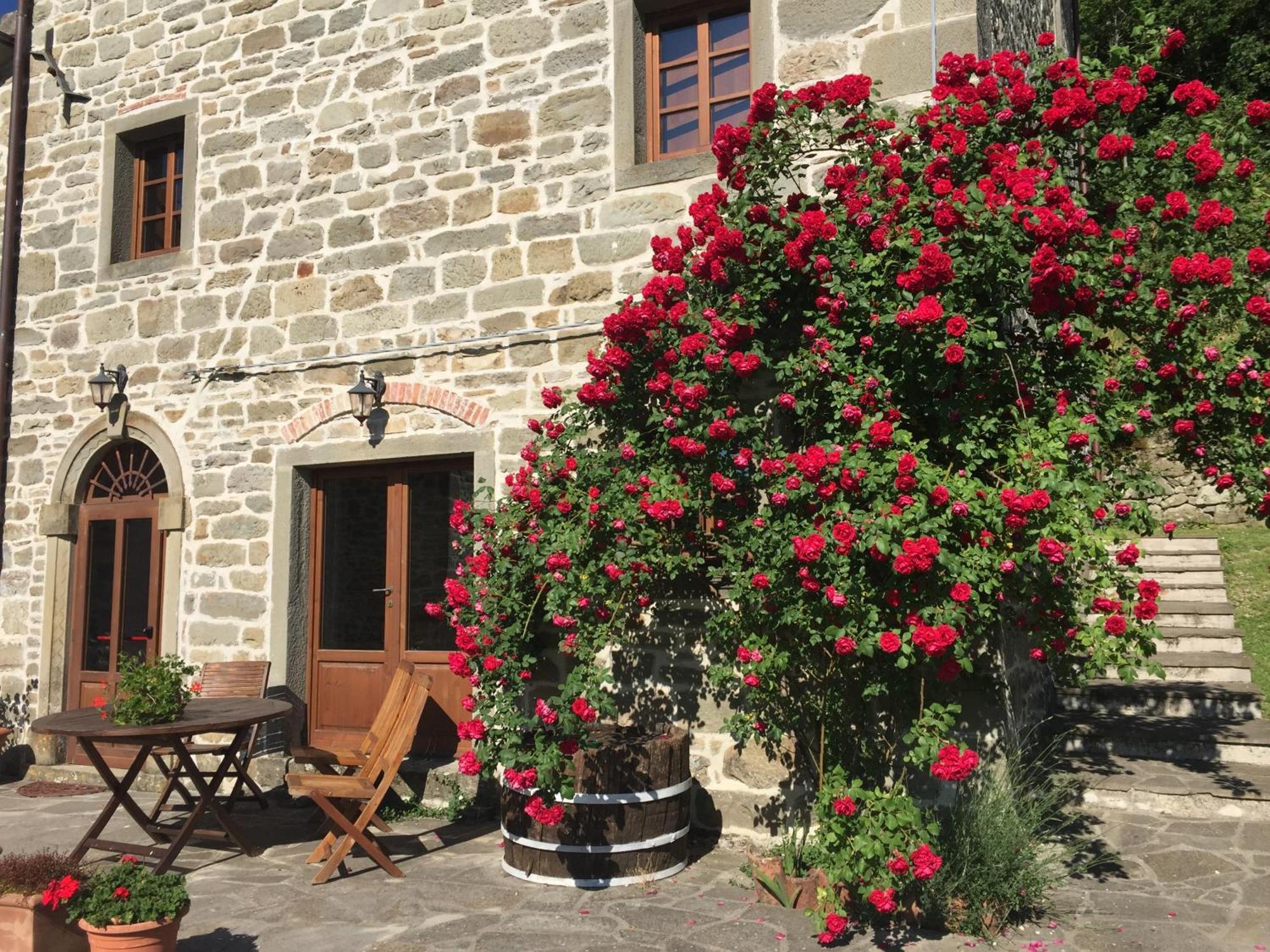 Bio Agriturismo Il Vigno Caprese Michelangelo Экстерьер фото